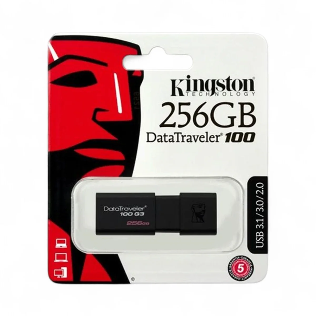 Kingston 256GB USB Flash Drive