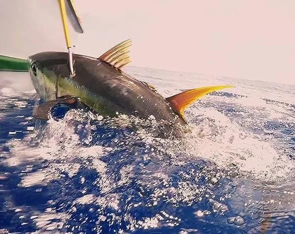 Private Boat Charter — 6 Hours