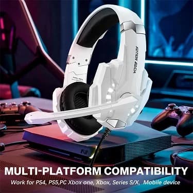 Gaming Headset with Mic & Adapter Cable!